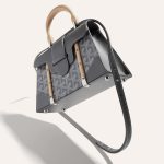 Goyard Saigon Structured Mini Bag Grey - Image 5